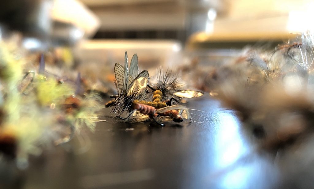Squeeky's Fly Sort Update