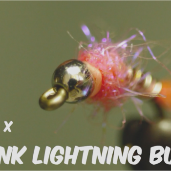 Pink Lightening Bug Video