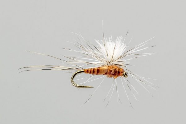 CDC Para-spinner PMD - Headhunters Fly Shop