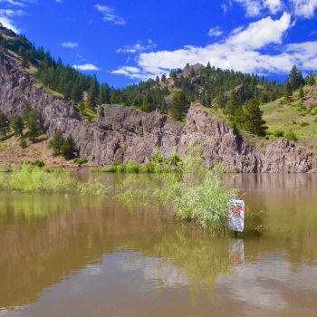 The water is falling for Dry Fly Season