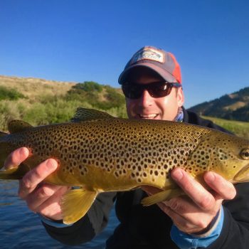 Friday Foto Dry Fly Brown Trout