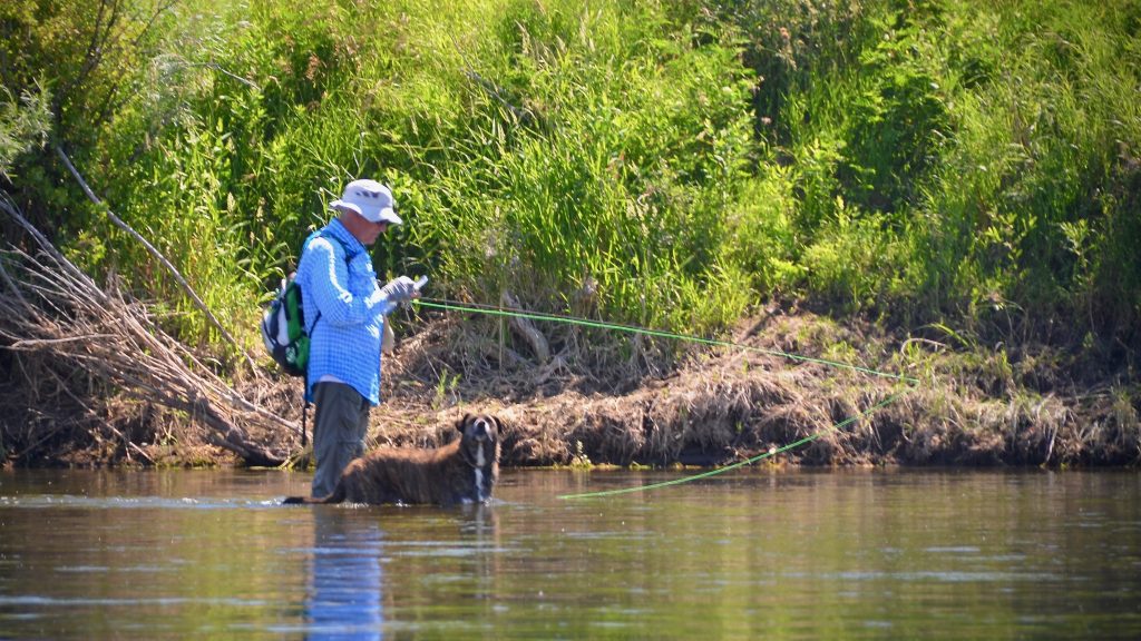 The 5 Don'ts of Dry Fly Fishing