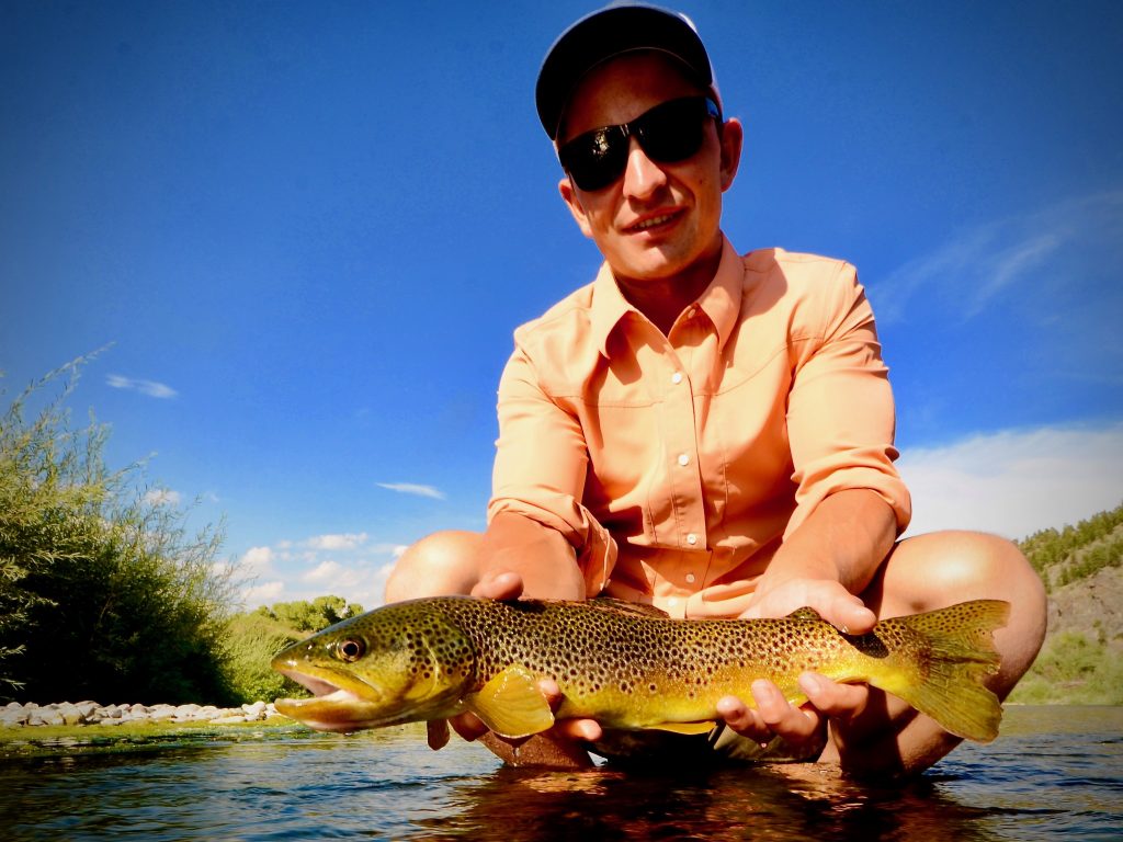 Hump Day Brown Trout