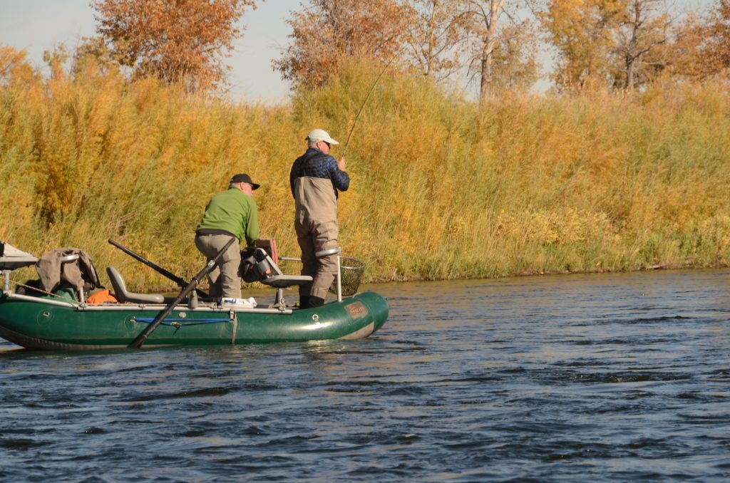 November 8th Missouri River Fishing Report