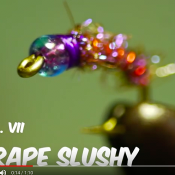 Grape Slushy Just Add Vise Video