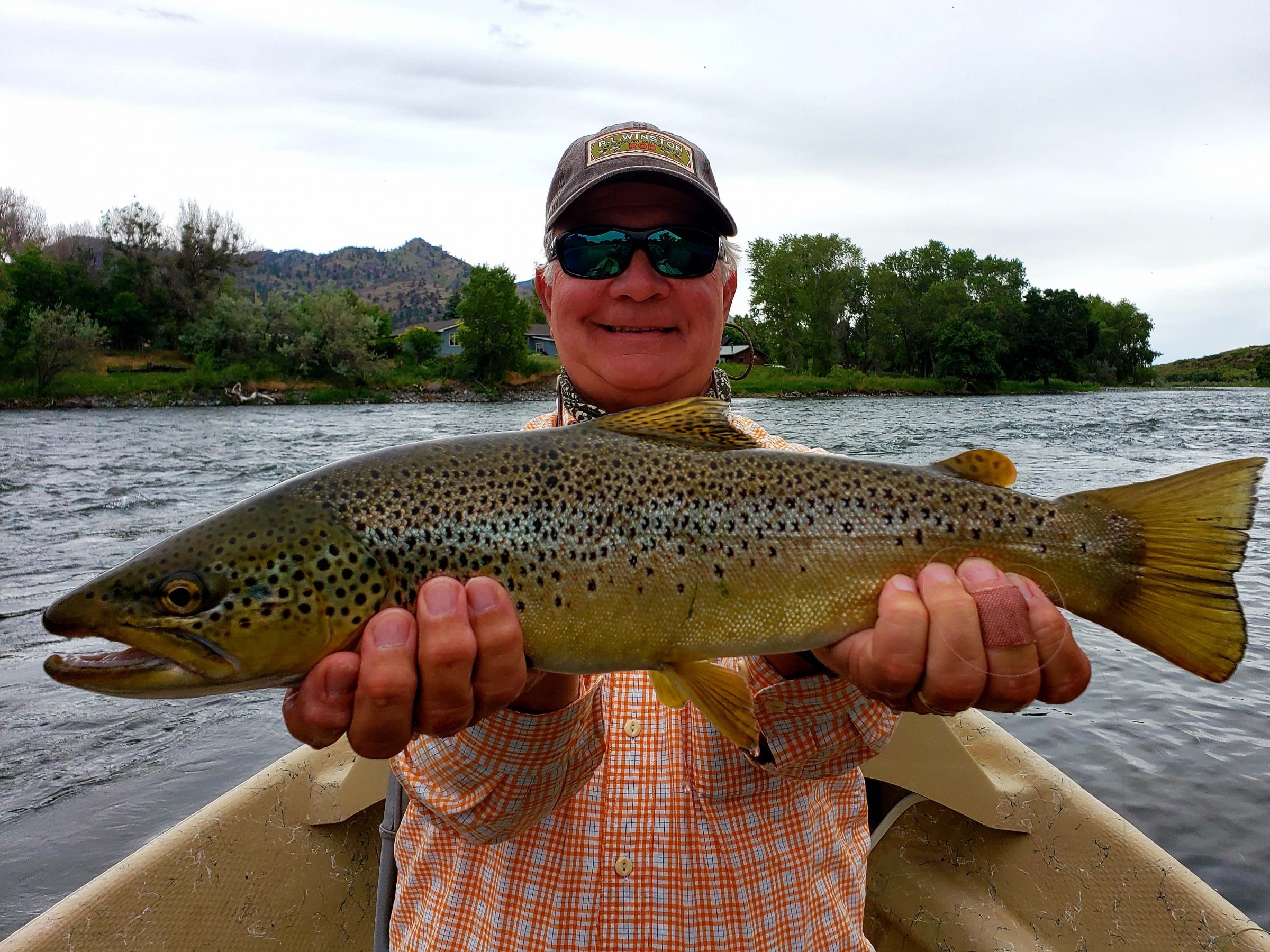 Saturday Scenery Dry Fly Brown Trout