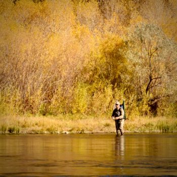 dry fly Archives - Headhunters Fly Shop