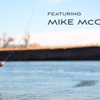 Montana Trout Spey Video