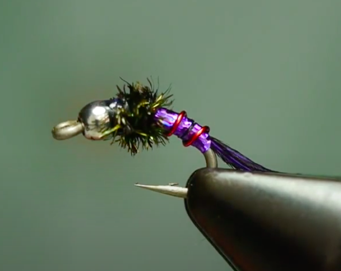 Purple Lightening Bug Tying Video