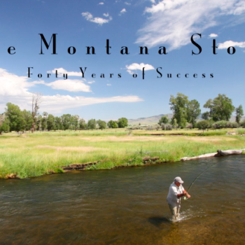 the Montana Story