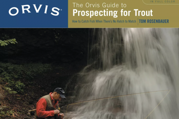 Tom Rosenbauer Prospecting for Trout